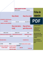 Fichas Especies Mas Explicación