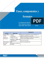 Fases, Componentes y Formatos