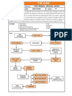 Proceso Vinza PDF
