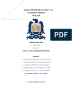 Universidad Autónoma de San Luis Potosí Facultad de Medicina Fisiología
