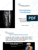  Neuroanatomia y Neurofisiologia