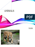 Animals