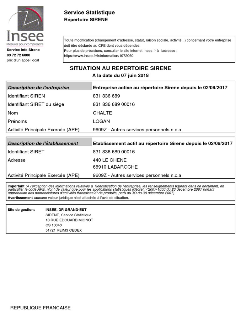avis-de-situation-au-r-pertoire-sirene-pdf