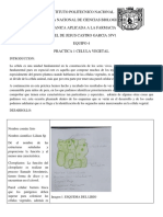 Practica 1 PDF