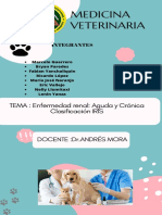Enfermedades Renales Aguda y Cronica