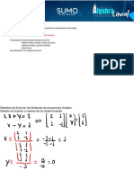 Clase 7 Sistemas de Ecuaciones Lineales PDF