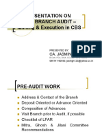 Branch Audit Planning & Execution