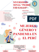 Mujeres, Género y Pandemia en El Perú