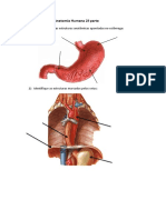 Estudo Dirigido de Anatomia Humana