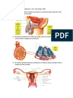 Sistema reprodutor masculino e feminino, glândulas e ciclo menstrual