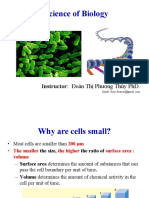 Lecture 2 - Cell Structure