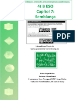 Marea Verde - Reforç I Ampliació Tema 6 - Semblança PDF