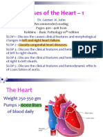 Diseases of the Heart Guide