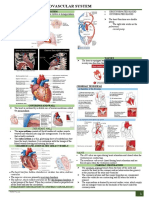 (Week 13) Cardiovascular System