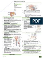 (Week 17) Reproductive System