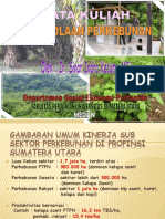 KINERJA PERKEBUNAN SUMUT