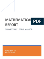 Mathematical Report