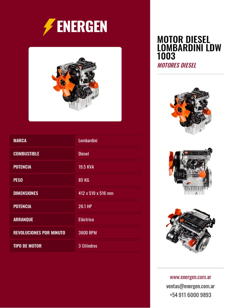 Motor Diesel Lombardini LDW 1003 PDF PDF