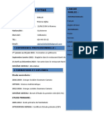 CV 2pdf