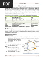 G-10 Biology, 3.2 Sense Organs