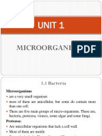 G-12 Biology, 1.1 Bacteria PDF