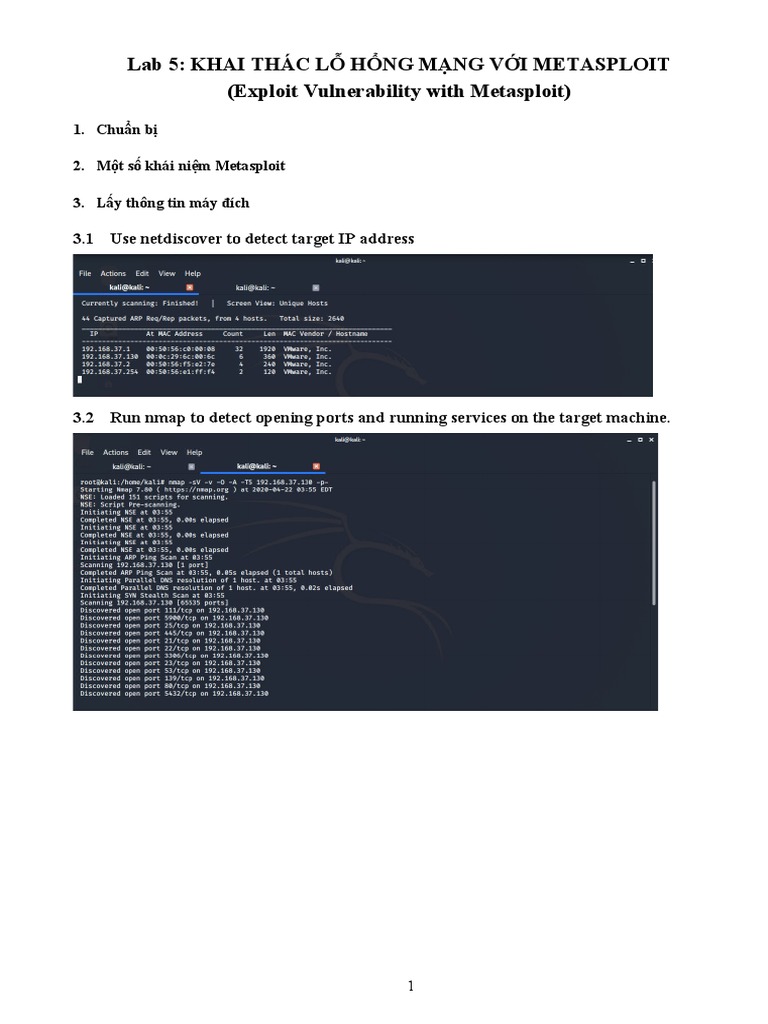 Metasploit Network Exploitation Guide | PDF | Computing | Software