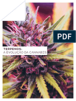Terpenos: Os compostos que definem os aromas da cannabis