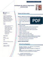 Techniques de Vente PDF