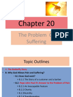 Chapter 20-The Problem of Suffering