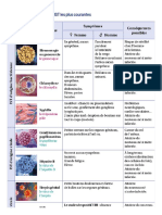 Les Caracteristiques Des Ist Les Plus Courantes PDF