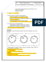 TDN 6 Corrigé Type PDF