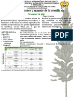 Cartel Araucaria PDF