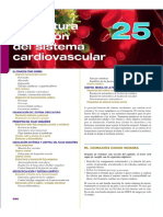 Temas Del Silabo Fisio PDF