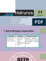 Función Hidruros PDF