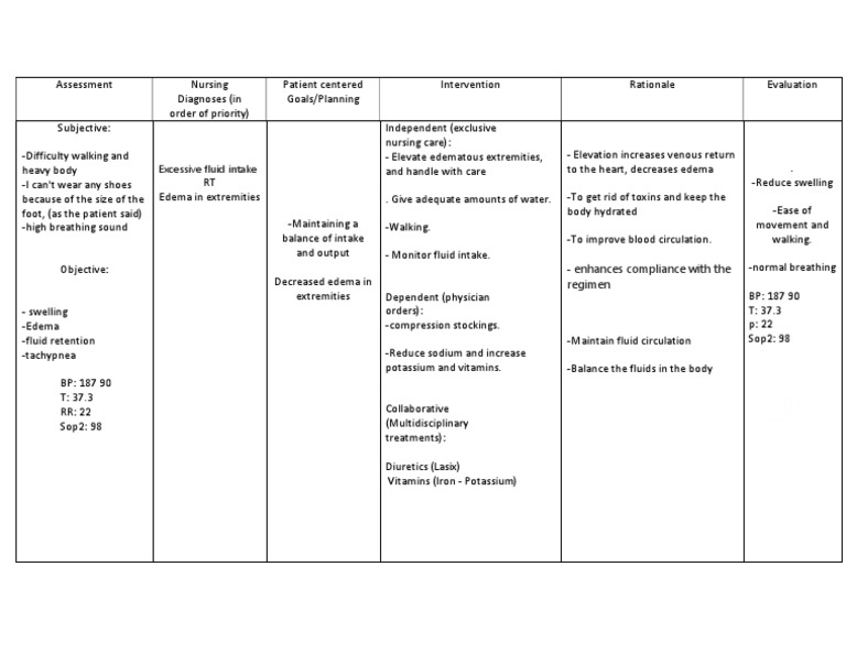 Care Plan PDF PDF Edema Physiology