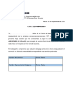 Carta Compromiso Intelipunto PDF