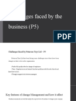 Challenges Faced by The Business (P5)