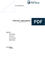 Informe Laboratorio II - Quimica