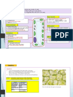 1.1 Plant Cells