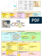 Resumen Hematología