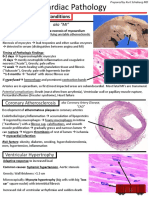 Heart-Pathology.pdf