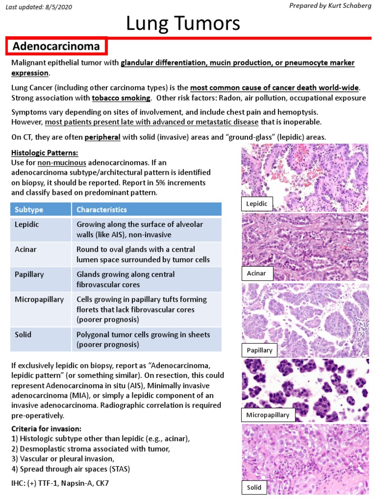 Lung Adenocarcinoma Pathology Overview | PDF | Carcinoma | Adenocarcinoma