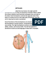 Brain Anatomy, Anatomy of The Human Brain - Mayfield Brain & Spine Cincinnati, Ohio 2 PDF