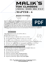 Understanding the Structure and Functions of Root Systems