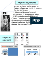 L+03-07 Angelman+Syndrome