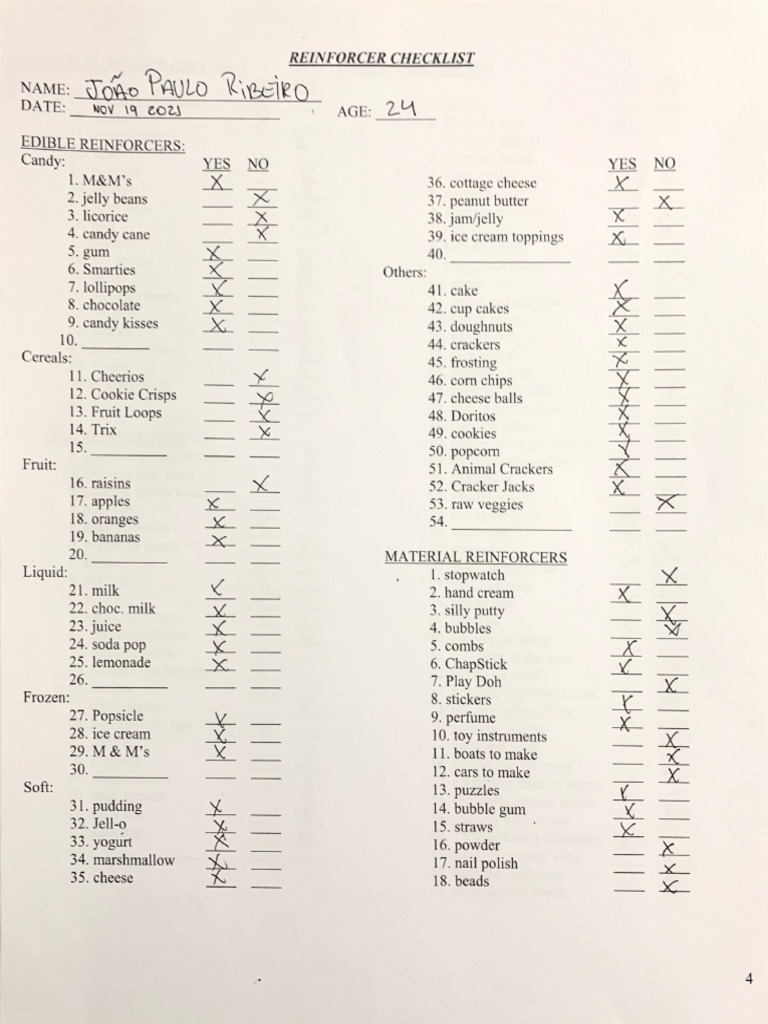 Reinforcer Inventory PDF