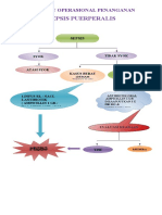 Penanganan Sepsis Puerperalis