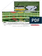 Pontos Shu Antigos Do Fígado PDF