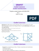 Grafet Euleriane, Hamiltoniane