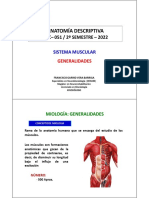 Músculos: Conceptos básicos de miología